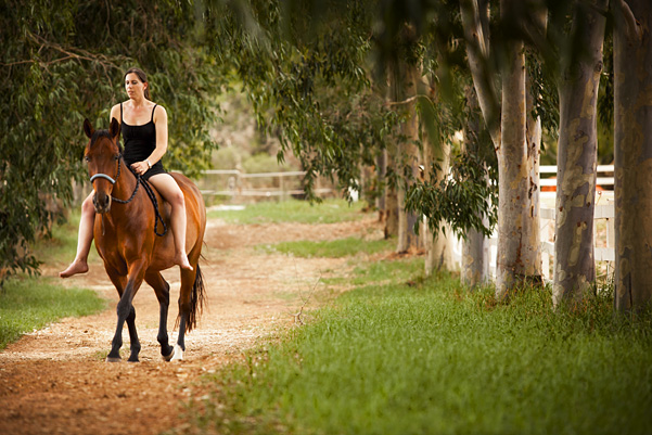 horse-photography-perth