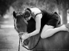 wa-horse-photography