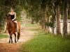 horse-photography-perth